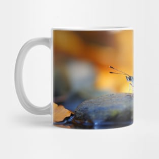 Butterfly Water Nature Serene Tranquil Mug